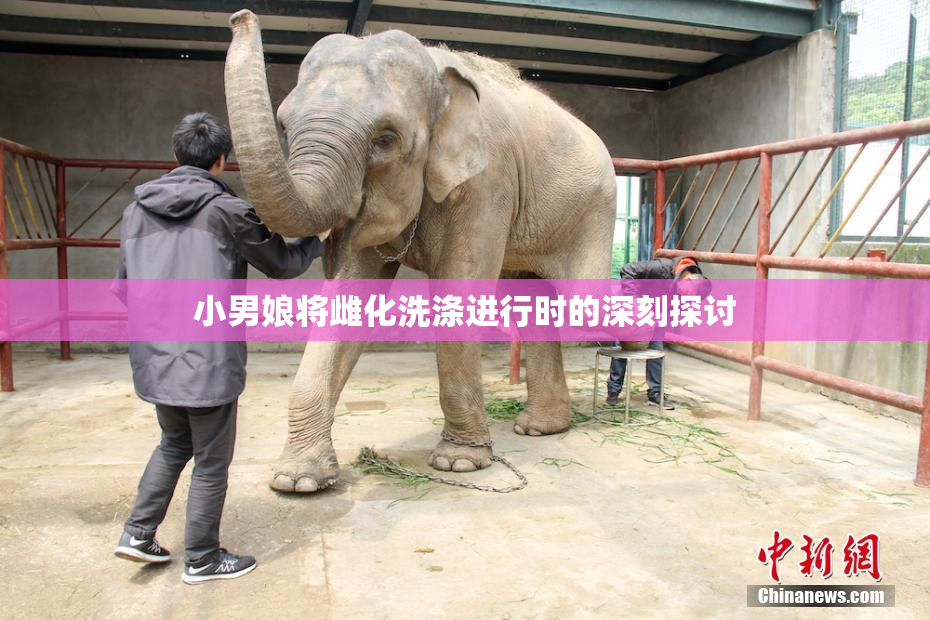 小男娘将雌化洗涤进行时的深刻探讨