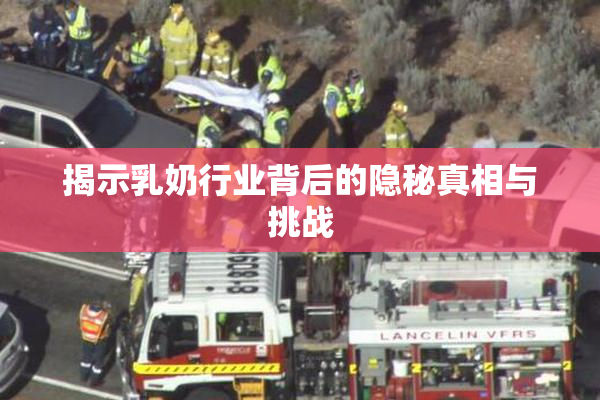 揭示乳奶行业背后的隐秘真相与挑战