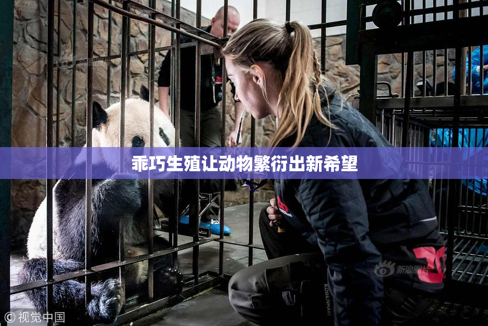 乖巧生殖让动物繁衍出新希望
