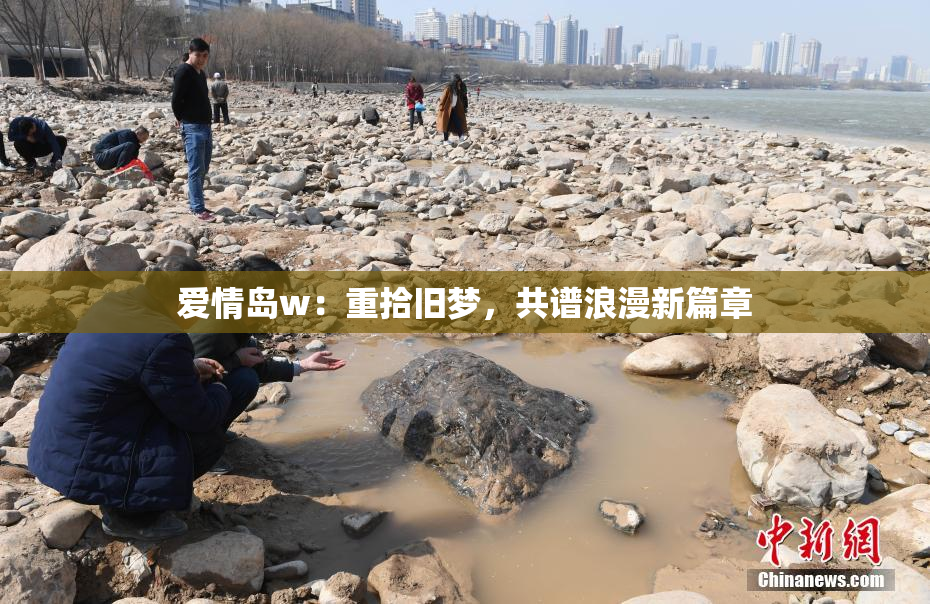 爱情岛w：重拾旧梦，共谱浪漫新篇章