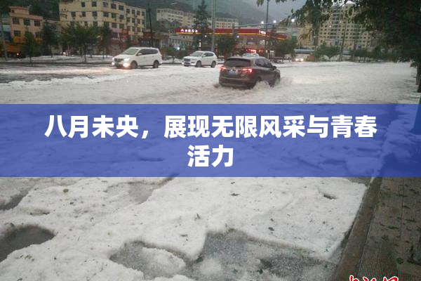八月未央，展现无限风采与青春活力