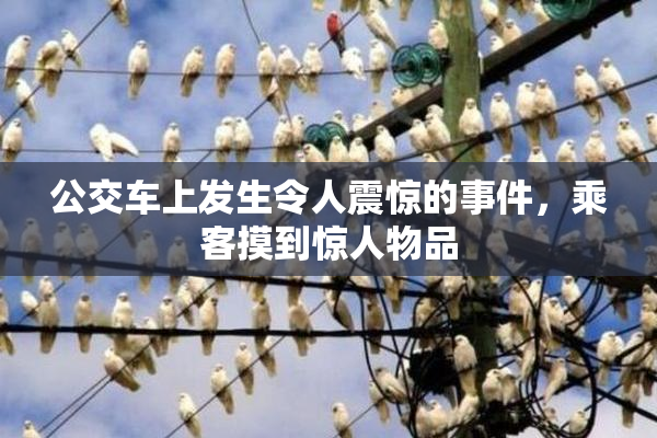公交车上发生令人震惊的事件，乘客摸到惊人物品