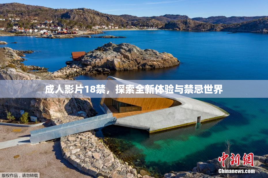 成人影片18禁，探索全新体验与禁忌世界