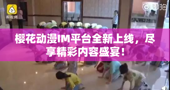 樱花动漫IM平台全新上线，尽享精彩内容盛宴！