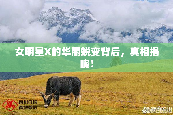 女明星X的华丽蜕变背后，真相揭晓！