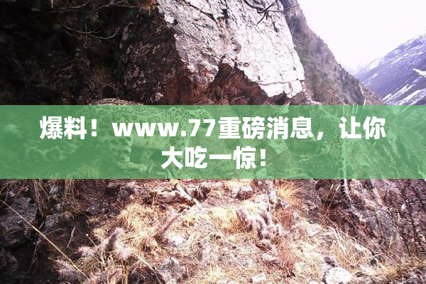 爆料！www.77重磅消息，让你大吃一惊！