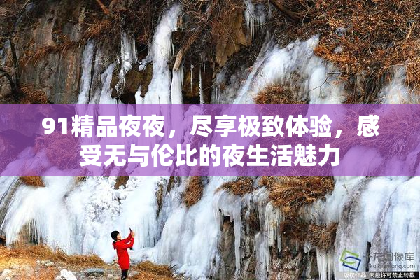 91精品夜夜，尽享极致体验，感受无与伦比的夜生活魅力