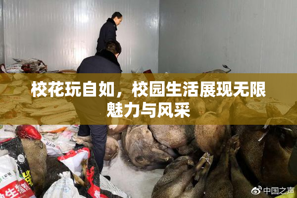 校花玩自如，校园生活展现无限魅力与风采