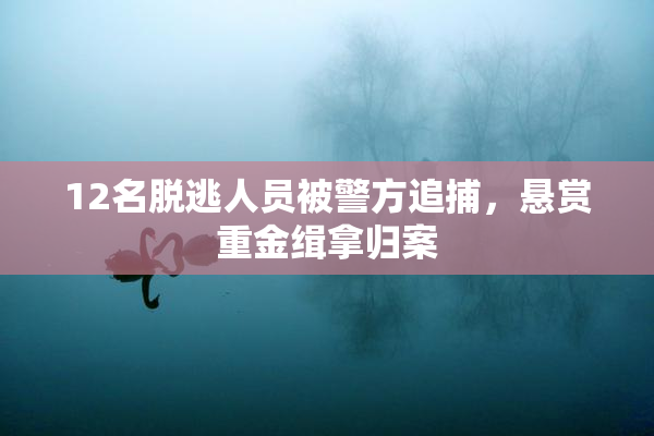 12名脱逃人员被警方追捕，悬赏重金缉拿归案