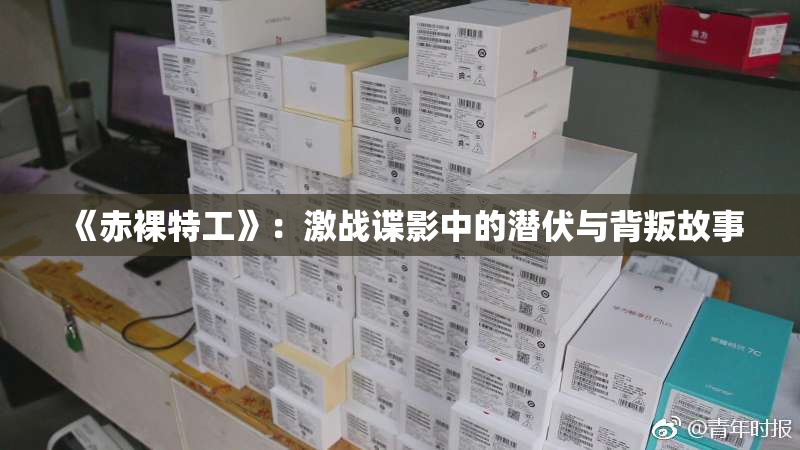 《赤裸特工》：激战谍影中的潜伏与背叛故事