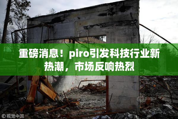 重磅消息！piro引发科技行业新热潮，市场反响热烈
