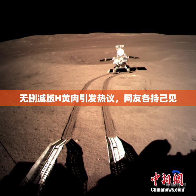 无删减版H黄肉引发热议，网友各持己见