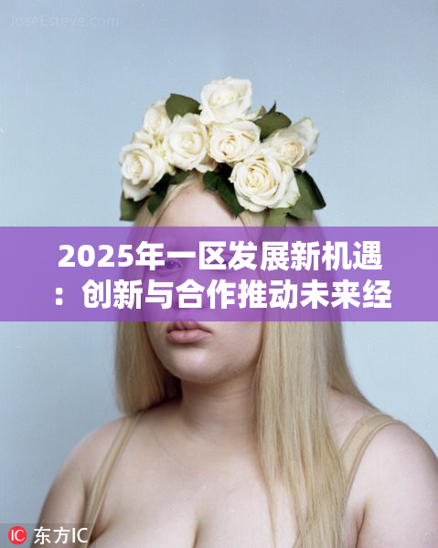 2025年一区发展新机遇：创新与合作推动未来经济增长