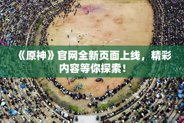 《原神》官网全新页面上线，精彩内容等你探索！