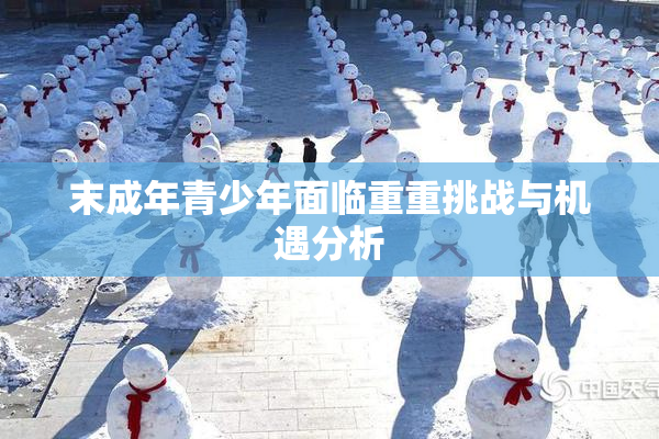 末成年青少年面临重重挑战与机遇分析