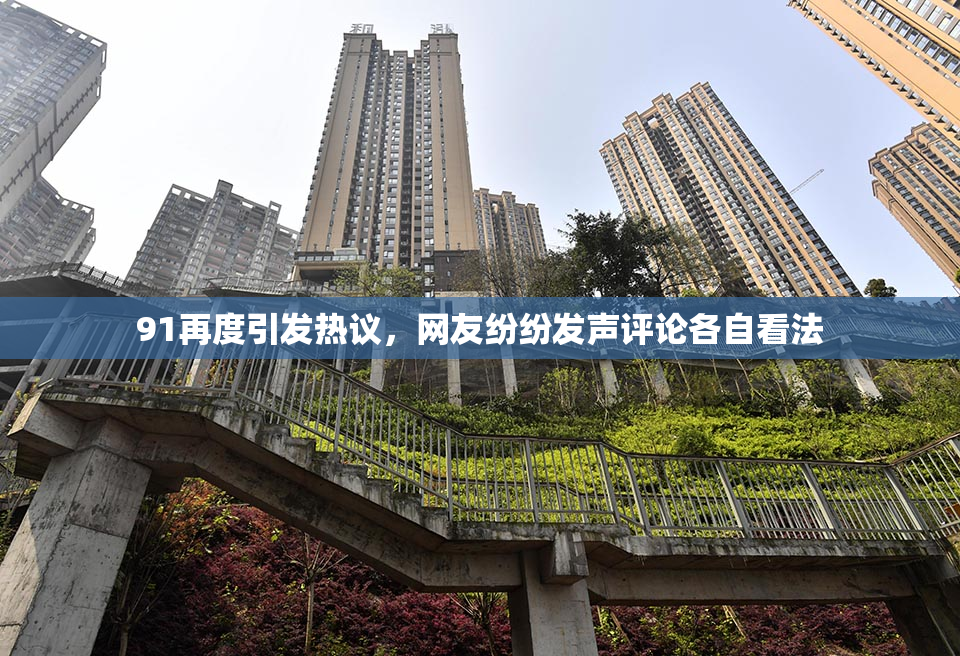 91再度引发热议，网友纷纷发声评论各自看法