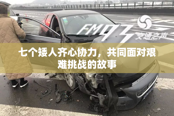 七个矮人齐心协力，共同面对艰难挑战的故事