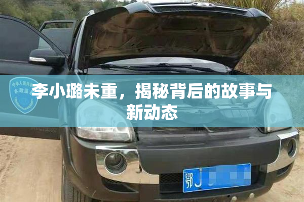 李小璐未重，揭秘背后的故事与新动态