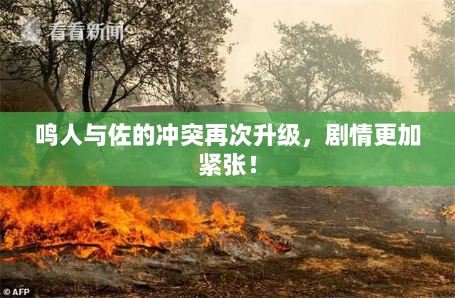 鸣人与佐的冲突再次升级，剧情更加紧张！