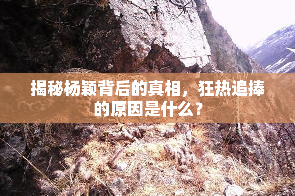 揭秘杨颖背后的真相，狂热追捧的原因是什么？
