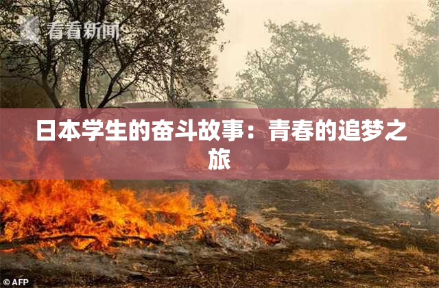 日本学生的奋斗故事：青春的追梦之旅