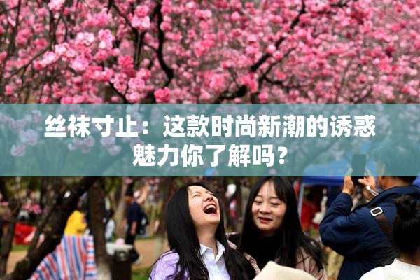 丝袜寸止：这款时尚新潮的诱惑魅力你了解吗？