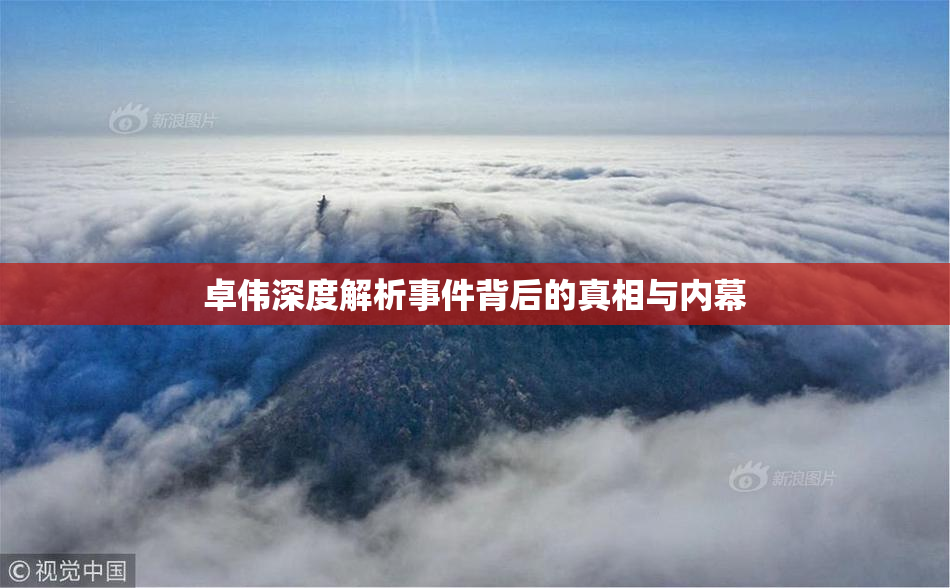 卓伟深度解析事件背后的真相与内幕