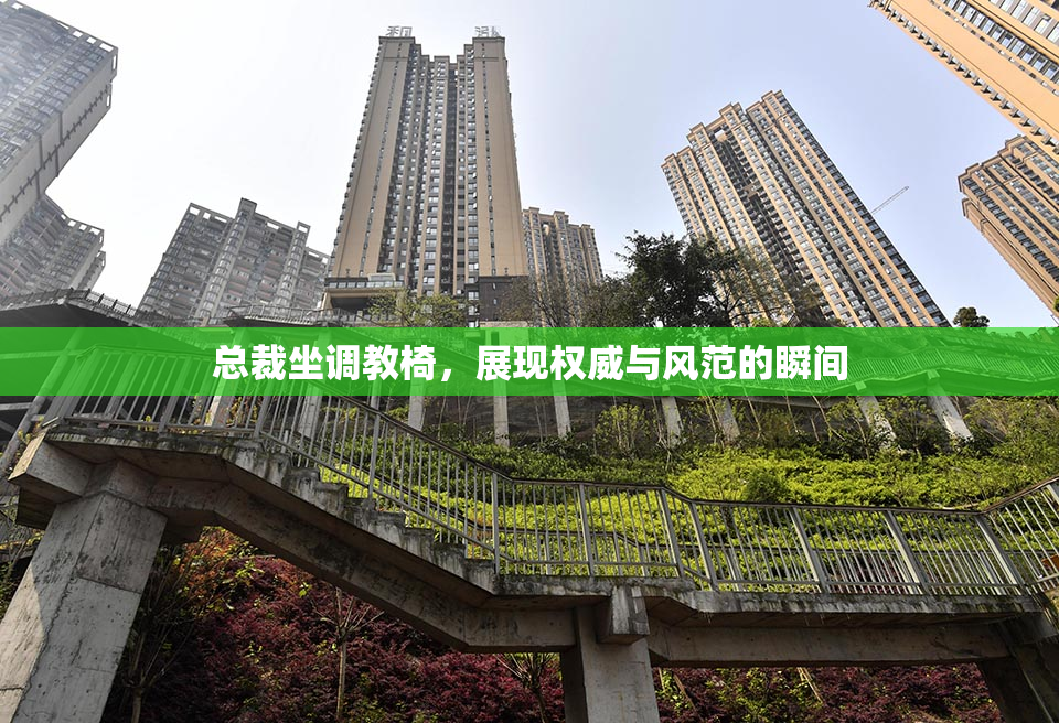 总裁坐调教椅，展现权威与风范的瞬间