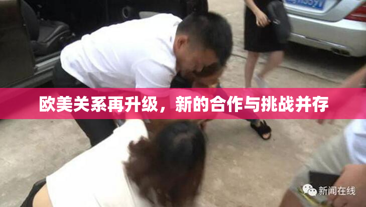 欧美关系再升级，新的合作与挑战并存
