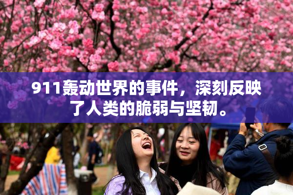 911轰动世界的事件，深刻反映了人类的脆弱与坚韧。