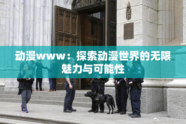 动漫www：探索动漫世界的无限魅力与可能性