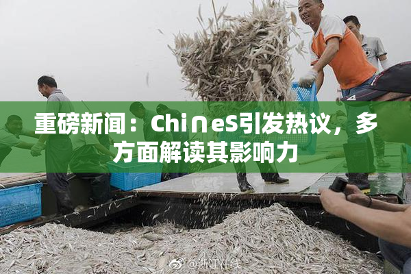 重磅新闻：Chi∩eS引发热议，多方面解读其影响力