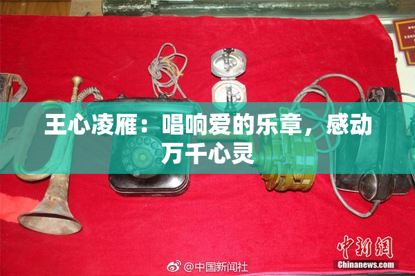王心凌雁：唱响爱的乐章，感动万千心灵