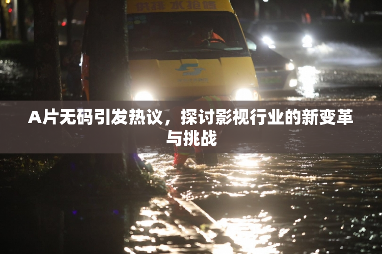 A片无码引发热议，探讨影视行业的新变革与挑战