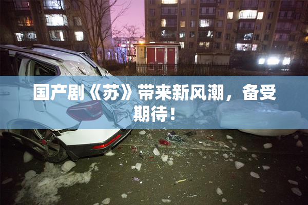 国产剧《苏》带来新风潮，备受期待！