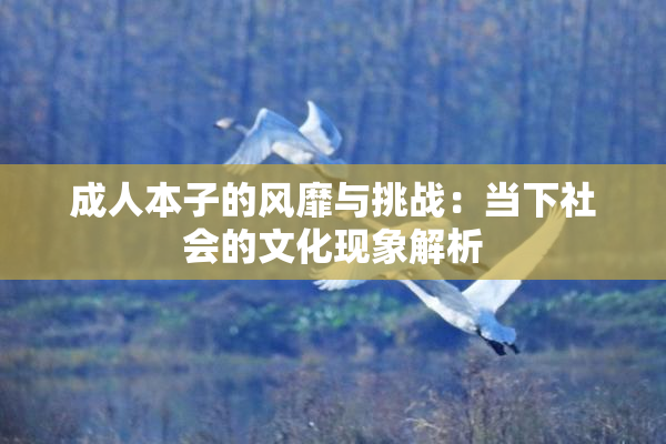 成人本子的风靡与挑战：当下社会的文化现象解析