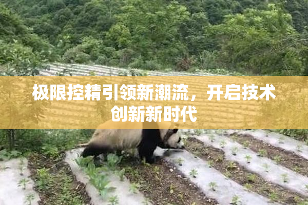 极限控精引领新潮流，开启技术创新新时代