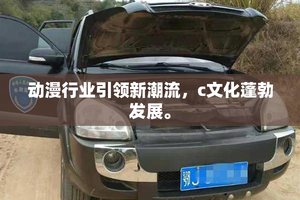 动漫行业引领新潮流，c文化蓬勃发展。