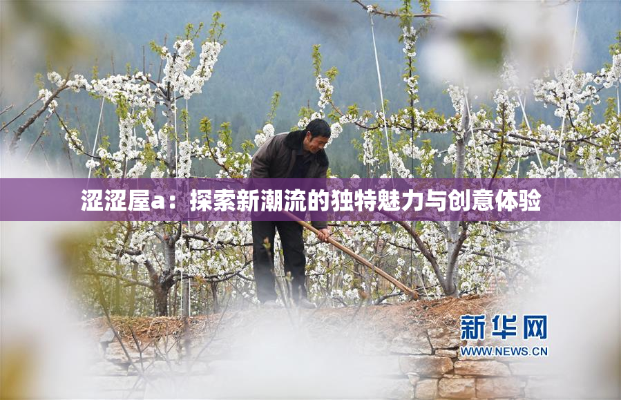涩涩屋a：探索新潮流的独特魅力与创意体验