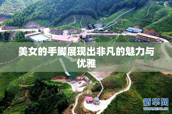 美女的手脚展现出非凡的魅力与优雅