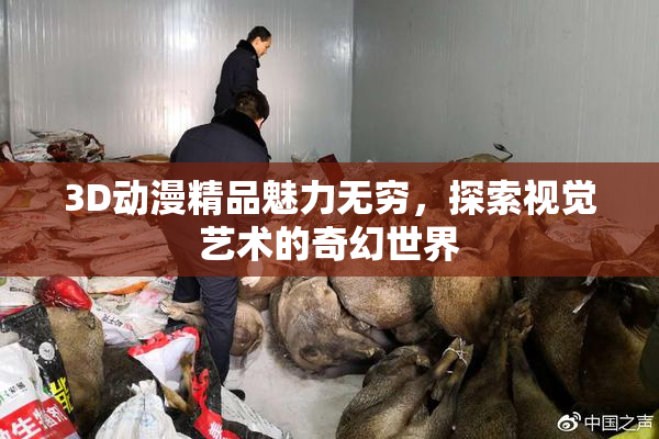 3D动漫精品魅力无穷，探索视觉艺术的奇幻世界