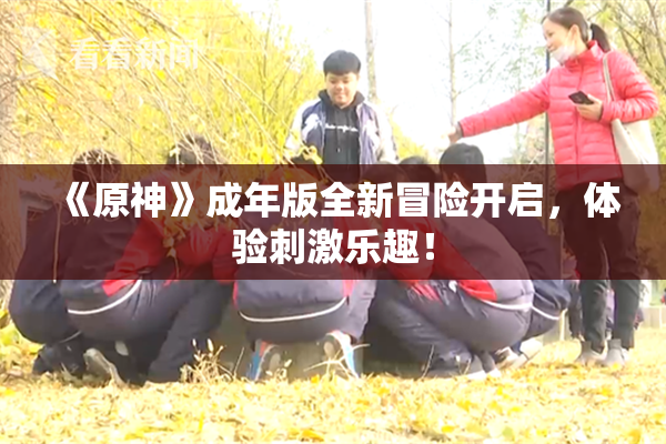 《原神》成年版全新冒险开启，体验刺激乐趣！