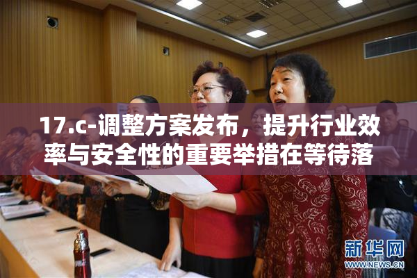 17.c-调整方案发布，提升行业效率与安全性的重要举措在等待落实。
