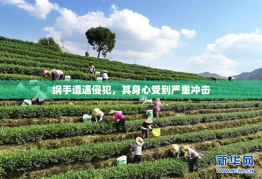 纲手遭遇侵犯，其身心受到严重冲击
