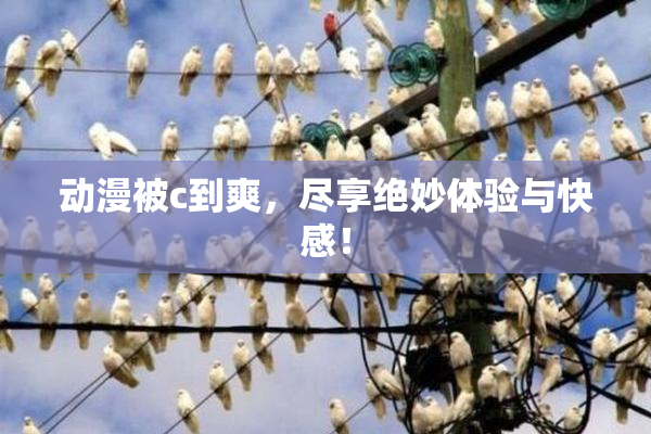 动漫被c到爽，尽享绝妙体验与快感！