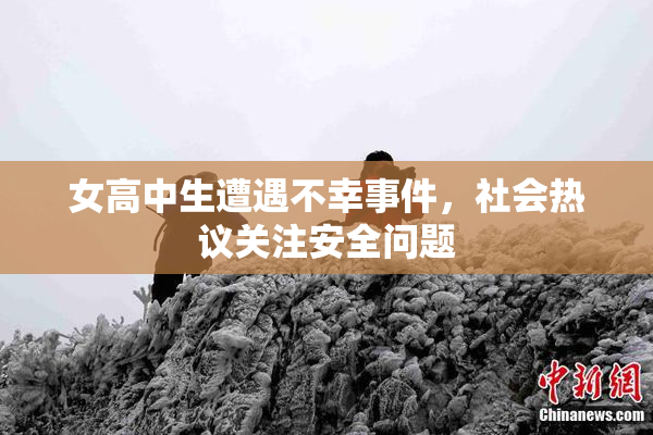 女高中生遭遇不幸事件，社会热议关注安全问题