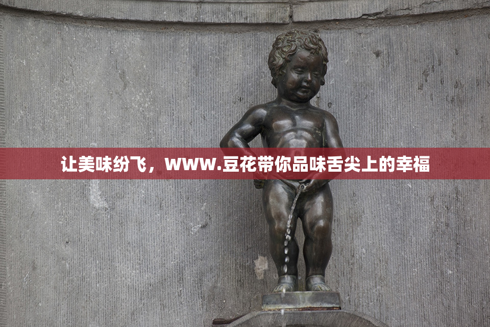 让美味纷飞，WWW.豆花带你品味舌尖上的幸福