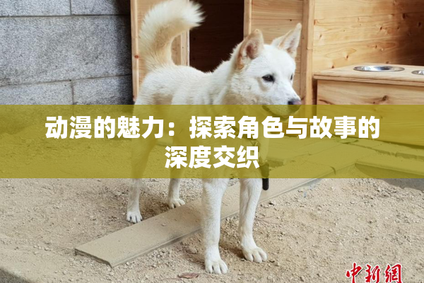 动漫的魅力：探索角色与故事的深度交织