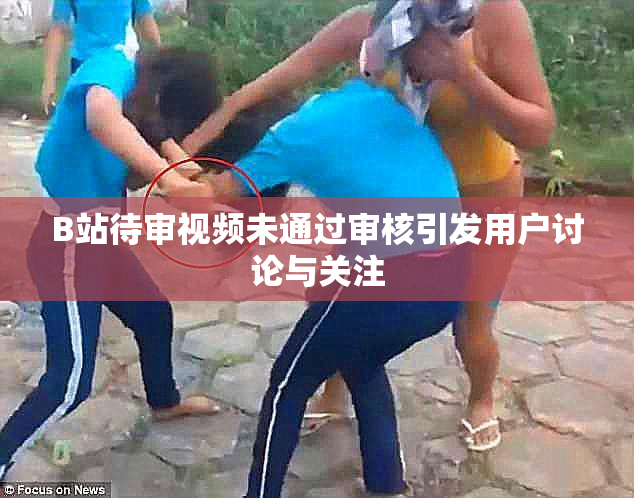 B站待审视频未通过审核引发用户讨论与关注