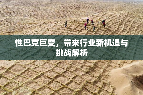 性巴克巨变，带来行业新机遇与挑战解析